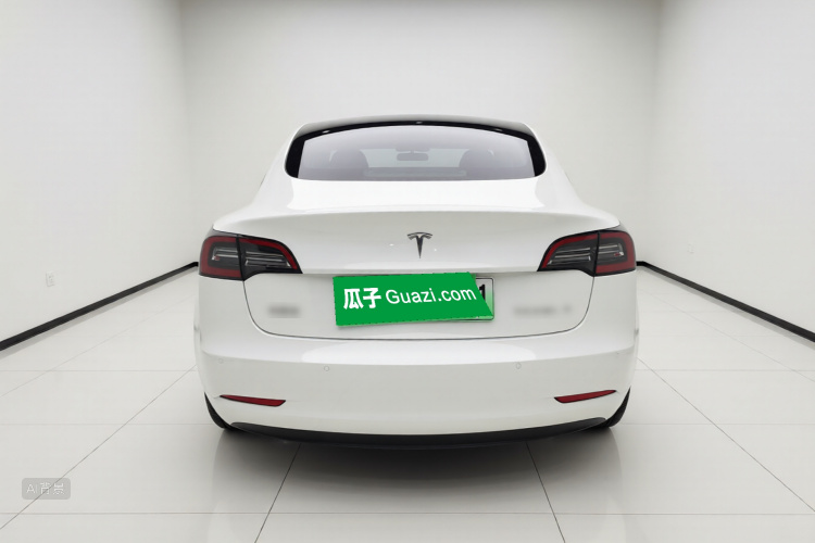 Tesla Model 3 2022 #6 Tesla Model 3 2022 car image #6