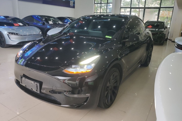 Tesla Model Y 2021 car image #2