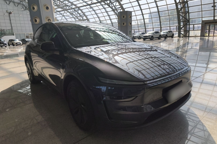 Tesla Model Y 2025 car image #4