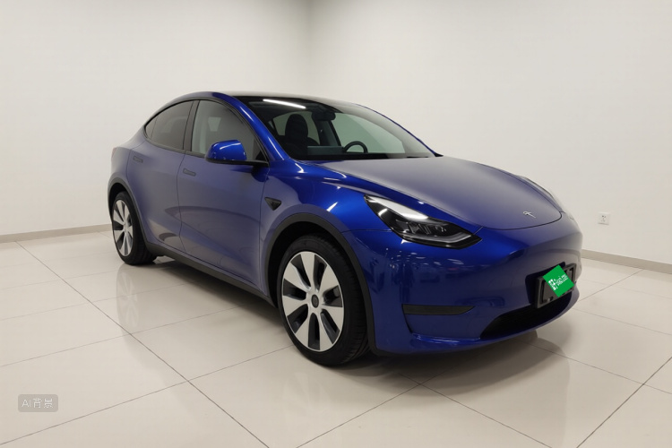 Tesla Model Y 2021 immagine di auto #4