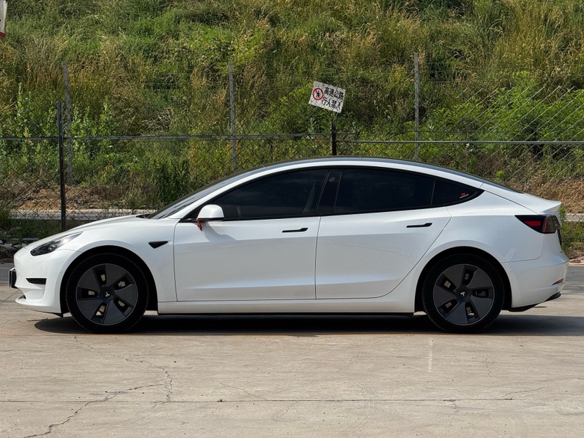 Tesla Model 3 2022 #4 Tesla Model 3 2022 car image #4