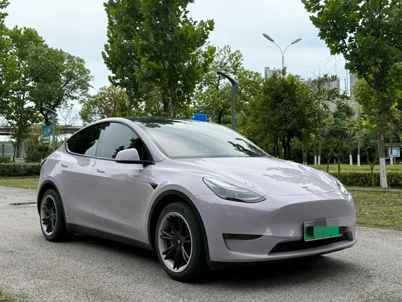 Tesla Model Y 2021 #3 Tesla Model Y 2021 car image #3