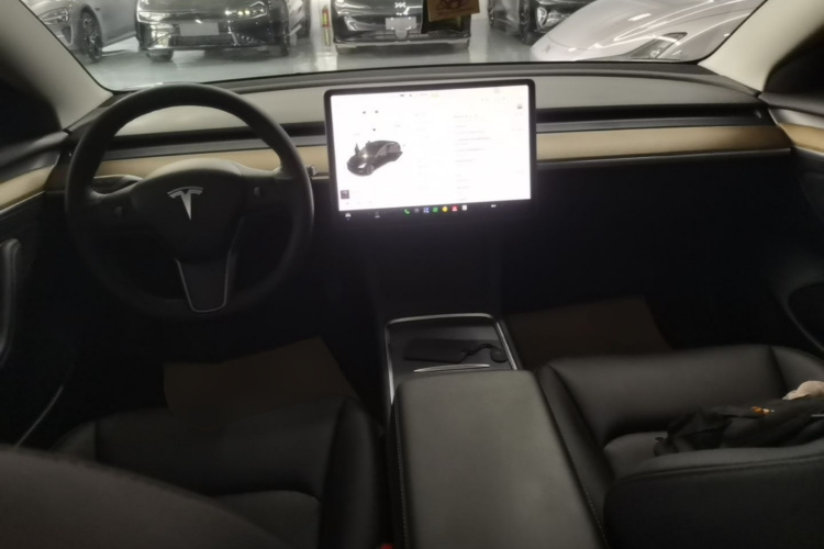 Tesla Model 3 2021 #10 Tesla Model 3 2021 car image #10