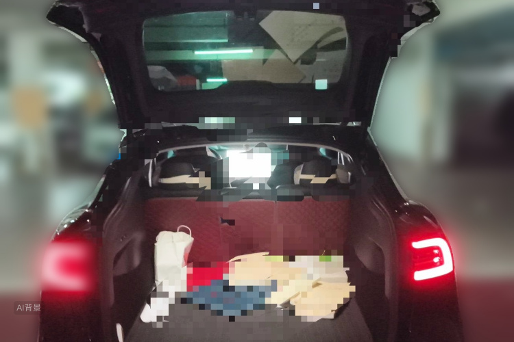 Tesla Model Y 2023 car image #21