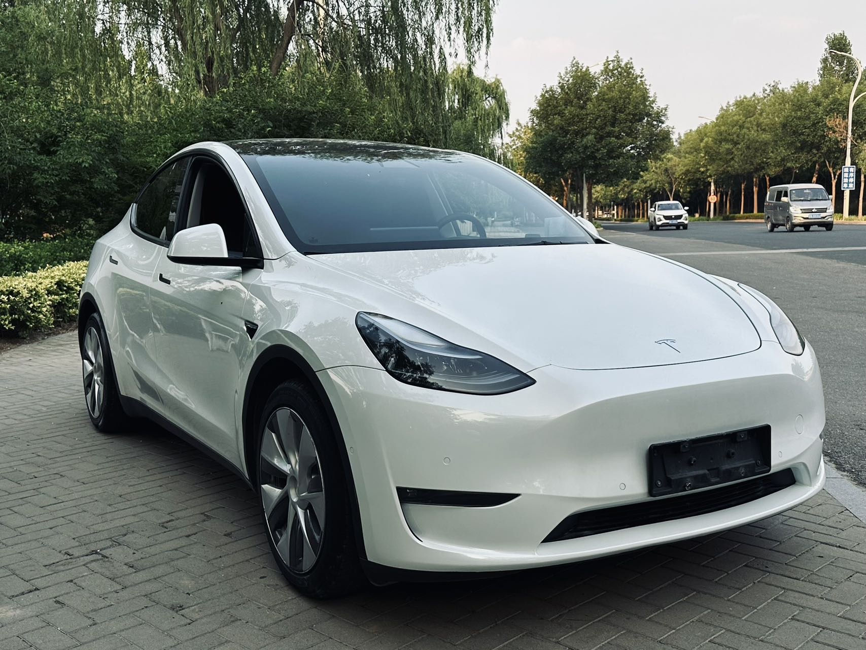 Tesla Model Y 2023 car image 