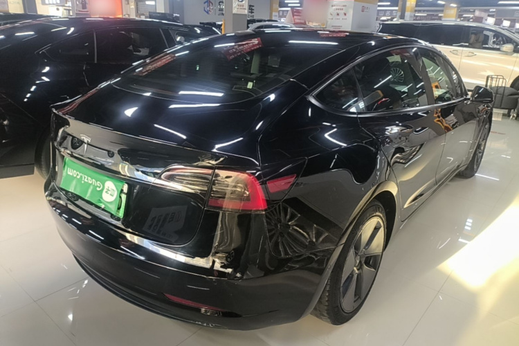 Tesla Model 3 2021 immagine di auto #5