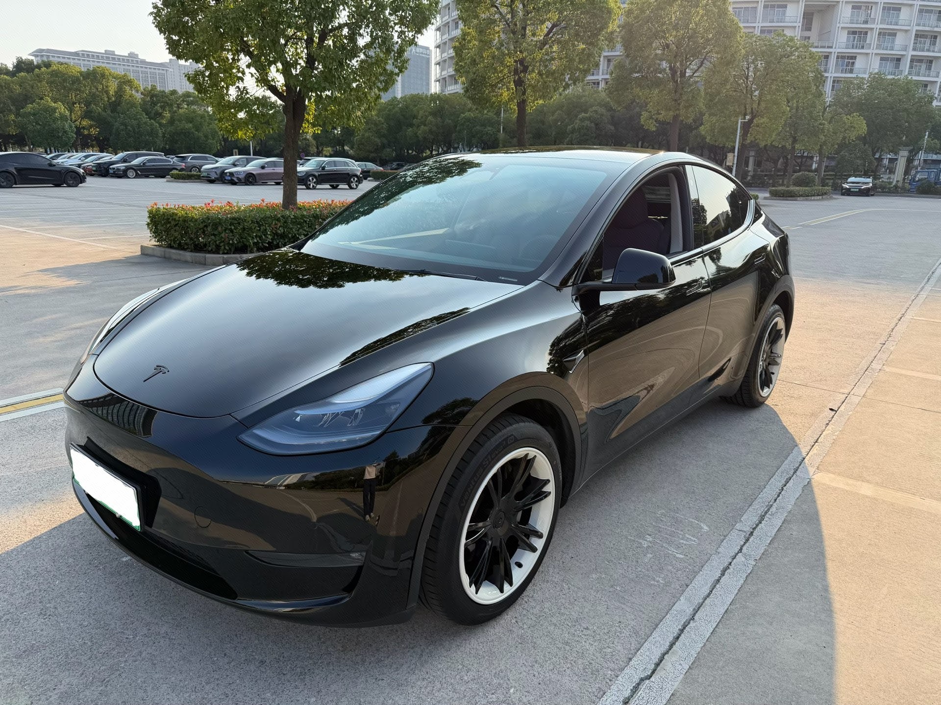 Tesla Model Y 2023 car image 