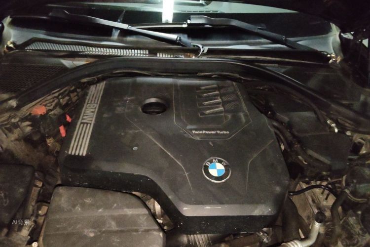 BMW 3 Series 2021 car image #22