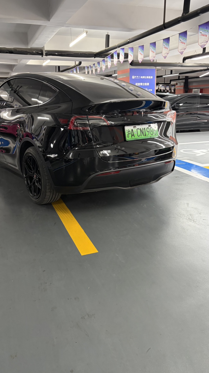Tesla Model Y 2023 #8 Tesla Model Y 2023 car image #8
