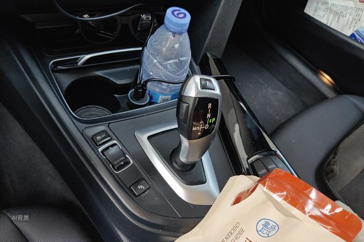 BMW 3 Series 2017 car image #16