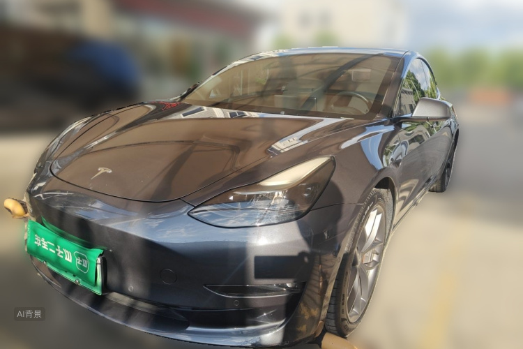 Tesla Model 3 2021 car image #2