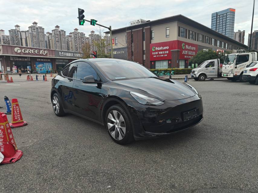 Tesla Model Y 2023 car image 