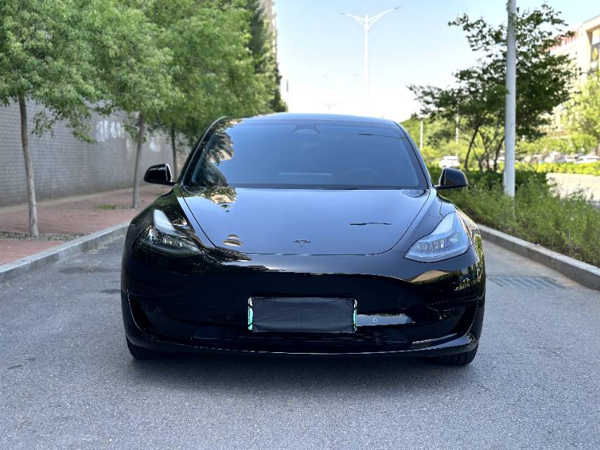 Tesla Model 3 2023 #2 Tesla Model 3 2023 car image #2
