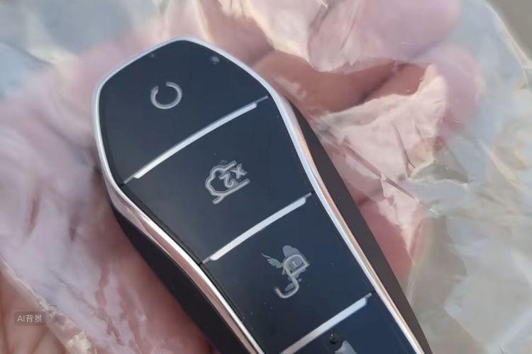 BYD Han 2021 car image #10