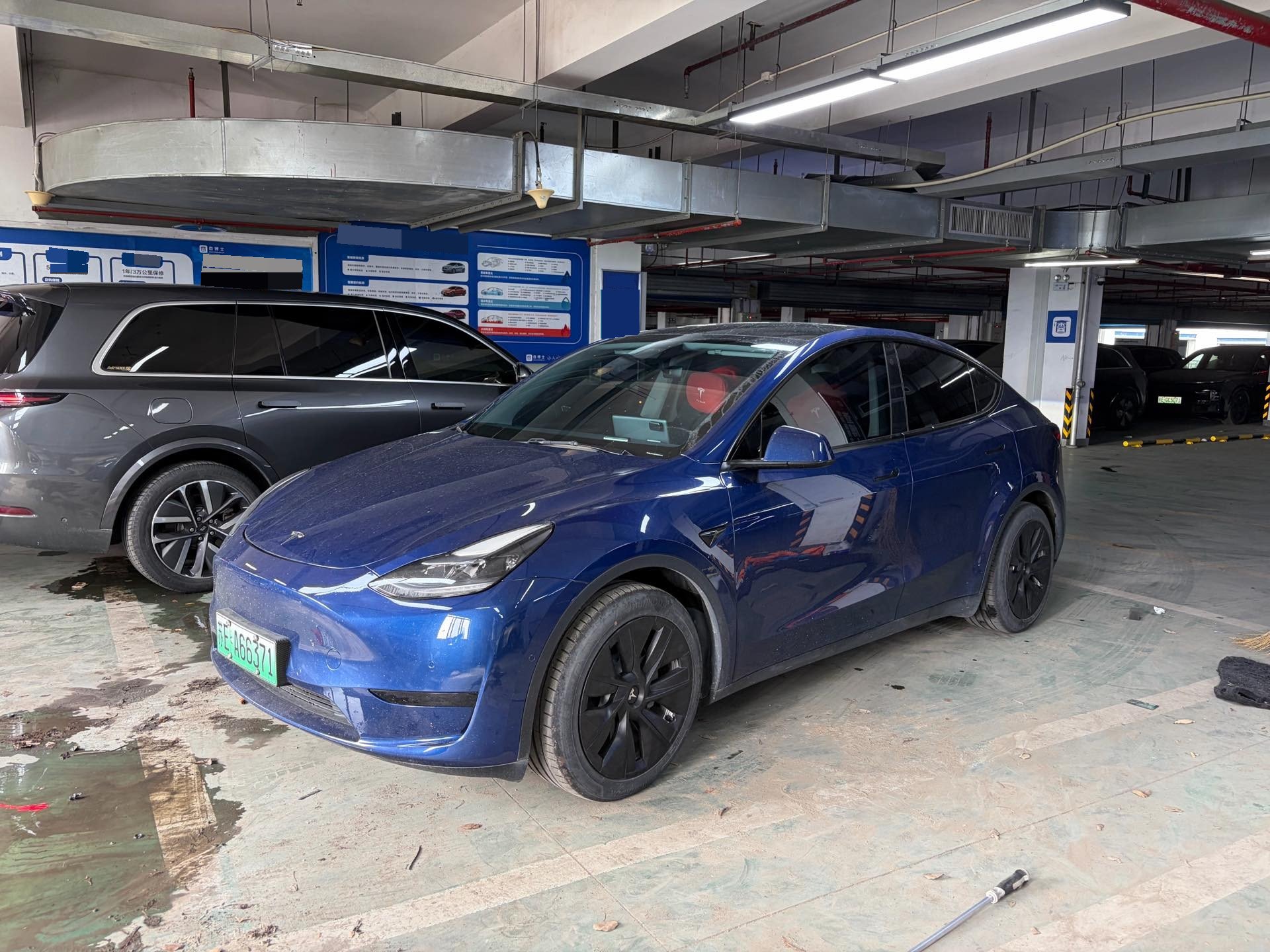 Tesla Model Y 2022 car image 