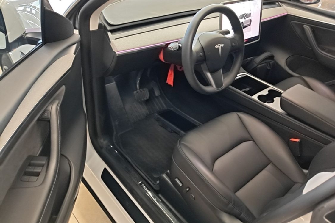 Tesla Model Y 2024 car image #12