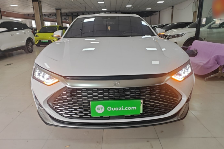 BYD Han 2021 immagine di auto #3