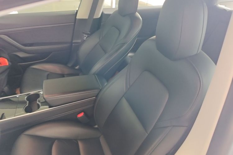 Tesla Model 3 2020 car image #15
