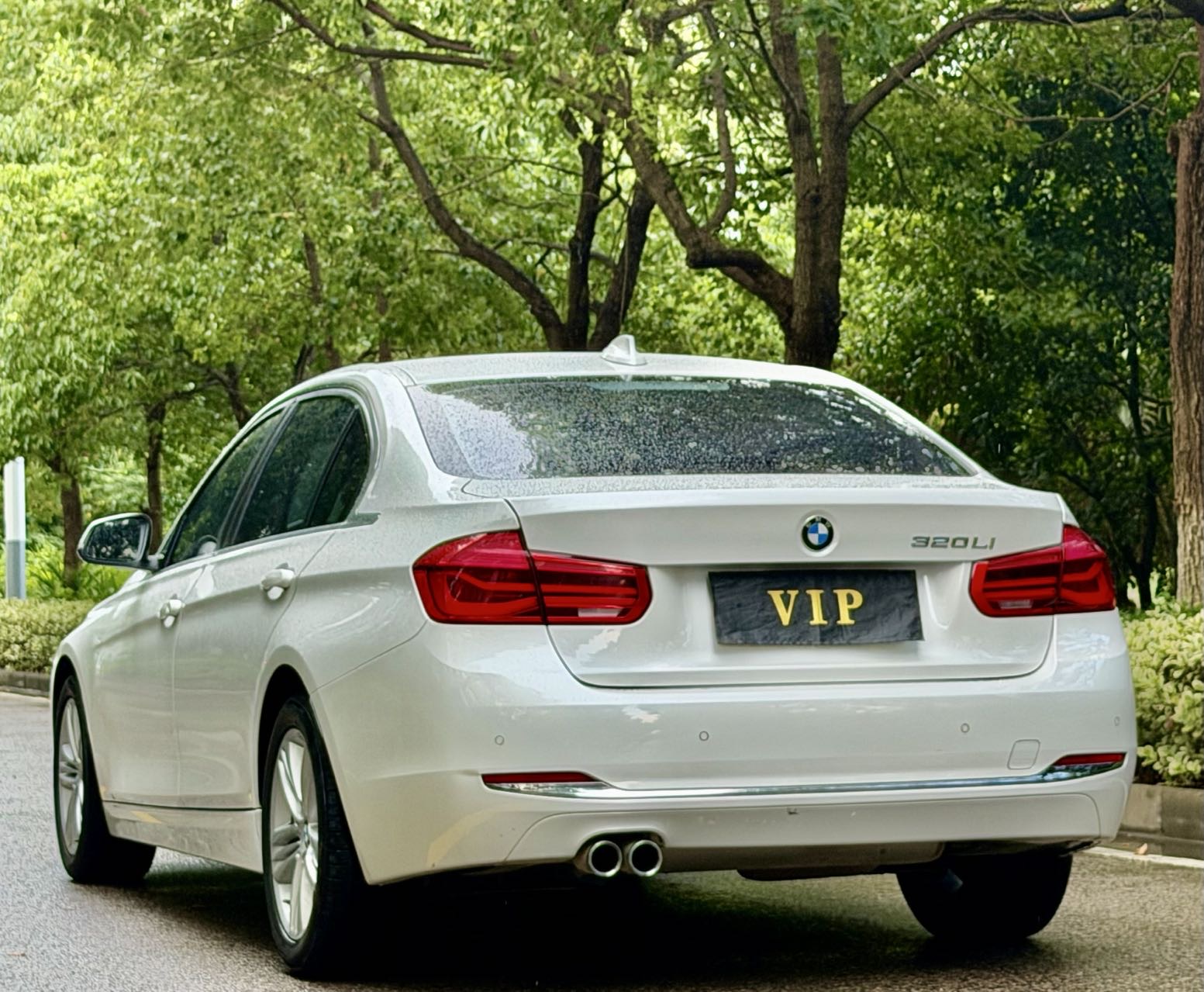 BMW 3 Series 2016 #10 BMW 3 Series 2016 car image #10