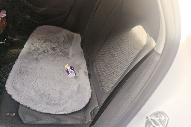 Audi A3 2019 car image #19