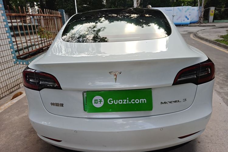 Tesla Model 3 2021 #6 Tesla Model 3 2021 car image #6