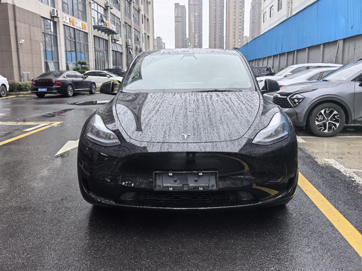 Tesla Model Y 2022 car image #2