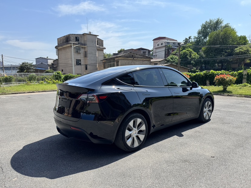 Tesla Model Y 2021 car image #9
