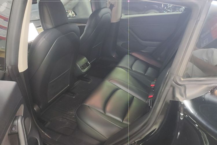 Tesla Model 3 2021 immagine di auto #17