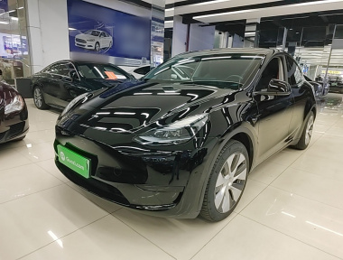 Tesla Model Y 2023 Tesla Model Y 2023 car image