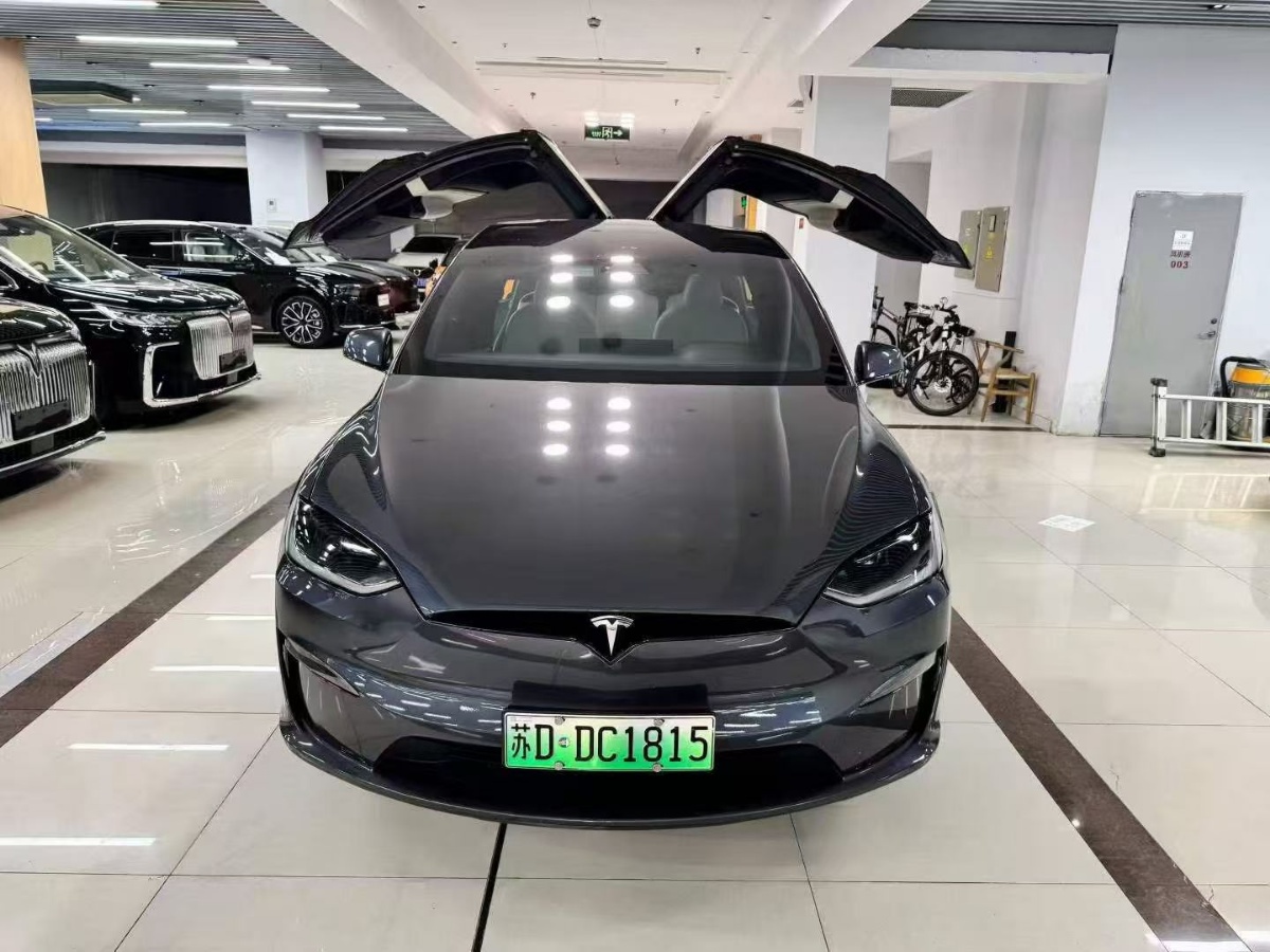 Tesla Model X 2023 car image #6