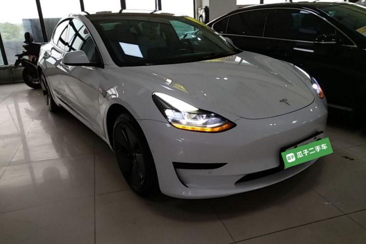 Tesla Model 3 2021 #4 Tesla Model 3 2021 car image #4