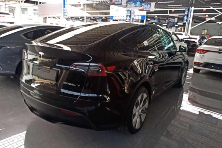 Tesla Model Y 2023 #7 Tesla Model Y 2023 car image #7