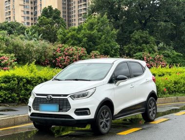 BYD Yuan New Energy 2019 car image 