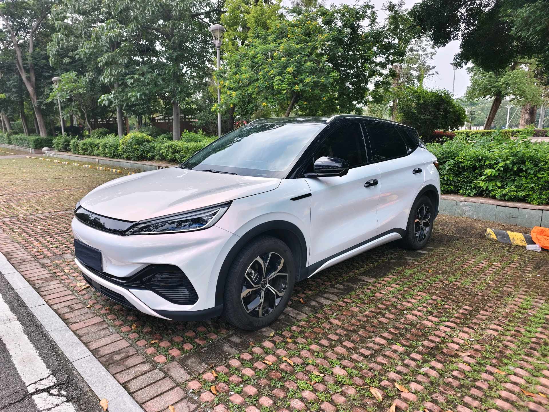BYD Yuan Plus 2024 BYD Yuan Plus 2024 car image
