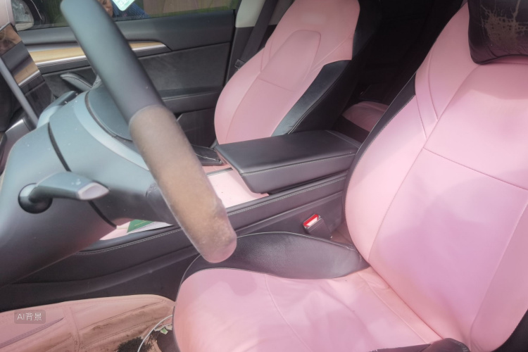 Tesla Model 3 2021 car image #17