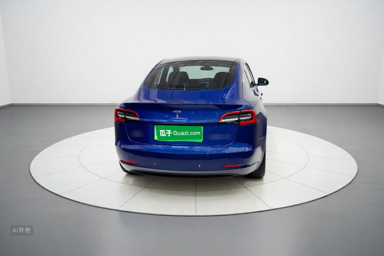 Tesla Model 3 2020 car image #6