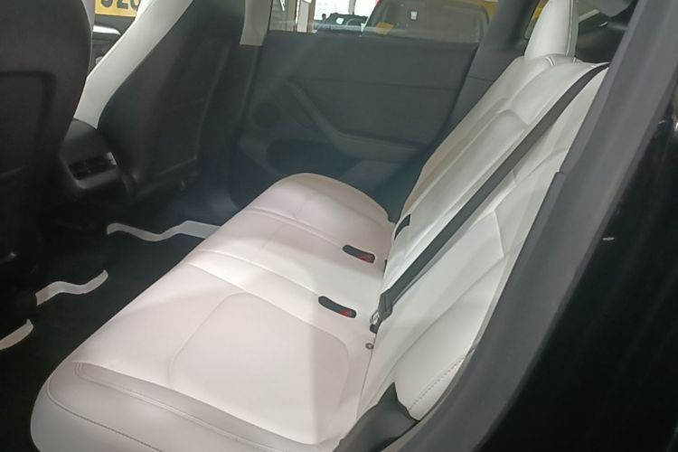 Tesla Model Y 2021 car image #13