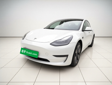 Tesla Model 3 2021 Tesla Model 3 2021 car image