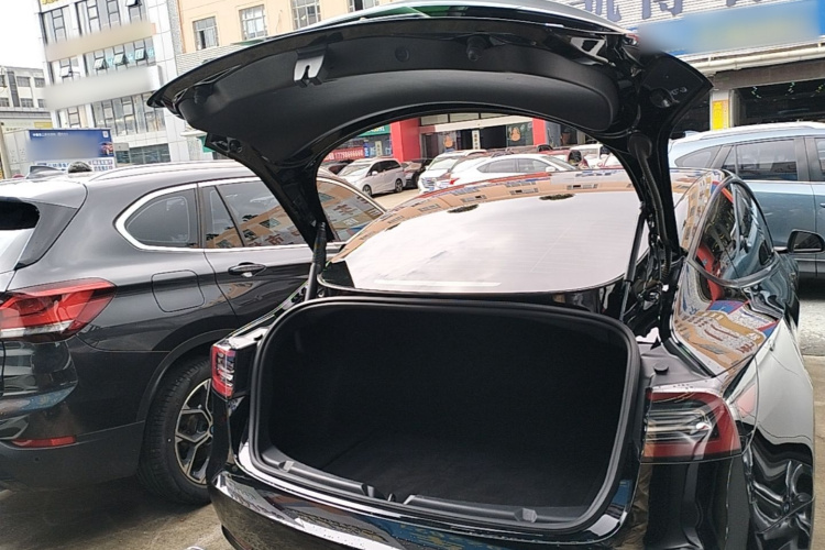 Tesla Model 3 2021 #19 Tesla Model 3 2021 car image #19