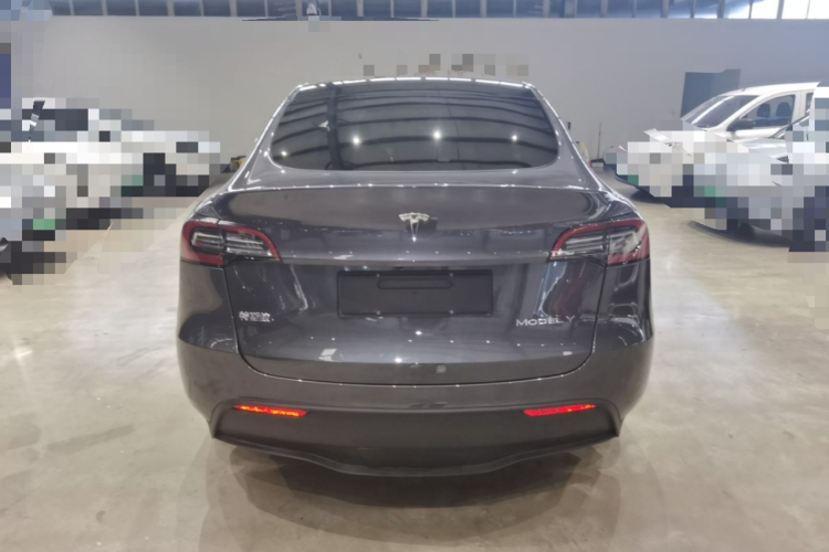 Tesla Model Y 2021 #6 Tesla Model Y 2021 car image #6