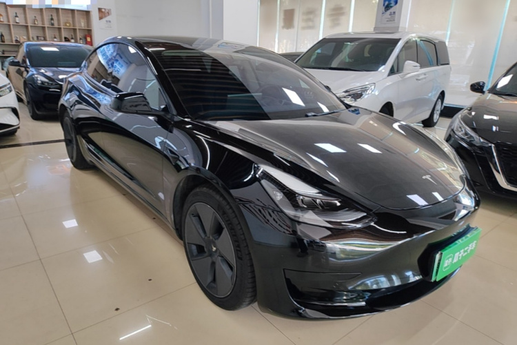 Tesla Model 3 2021 #6 Tesla Model 3 2021 immagine di auto #6