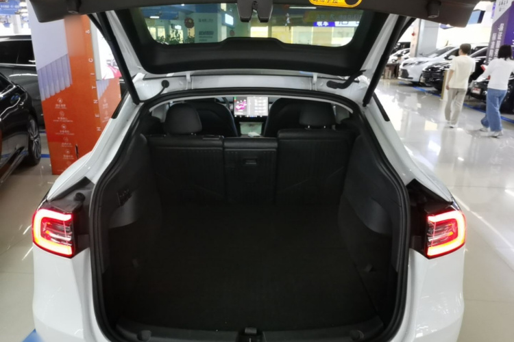 Tesla Model Y 2024 #19 Tesla Model Y 2024 immagine di auto #19