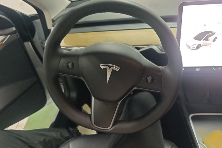 Tesla Model 3 2021 car image #11