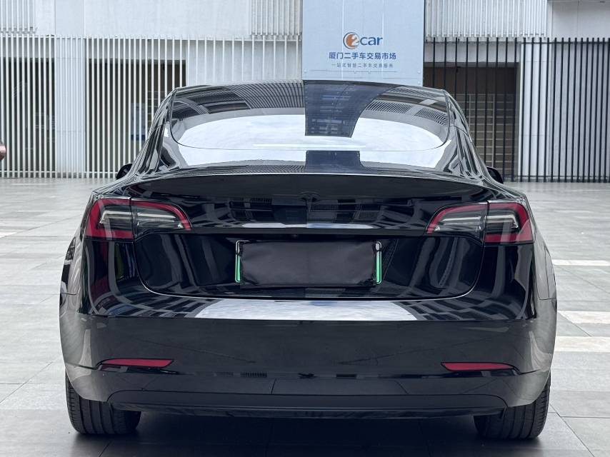 Tesla Model 3 2021 #8 Tesla Model 3 2021 car image #8