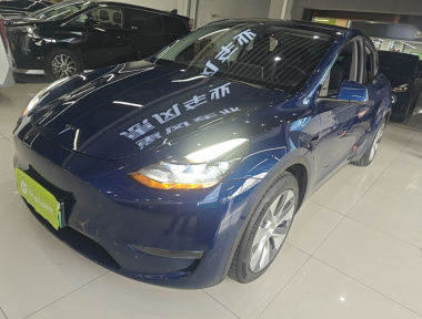 Tesla Model Y 2021 Tesla Model Y 2021 car image