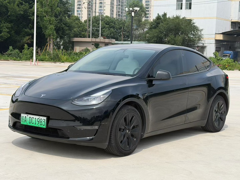 Tesla Model Y 2021 Tesla Model Y 2021 car image