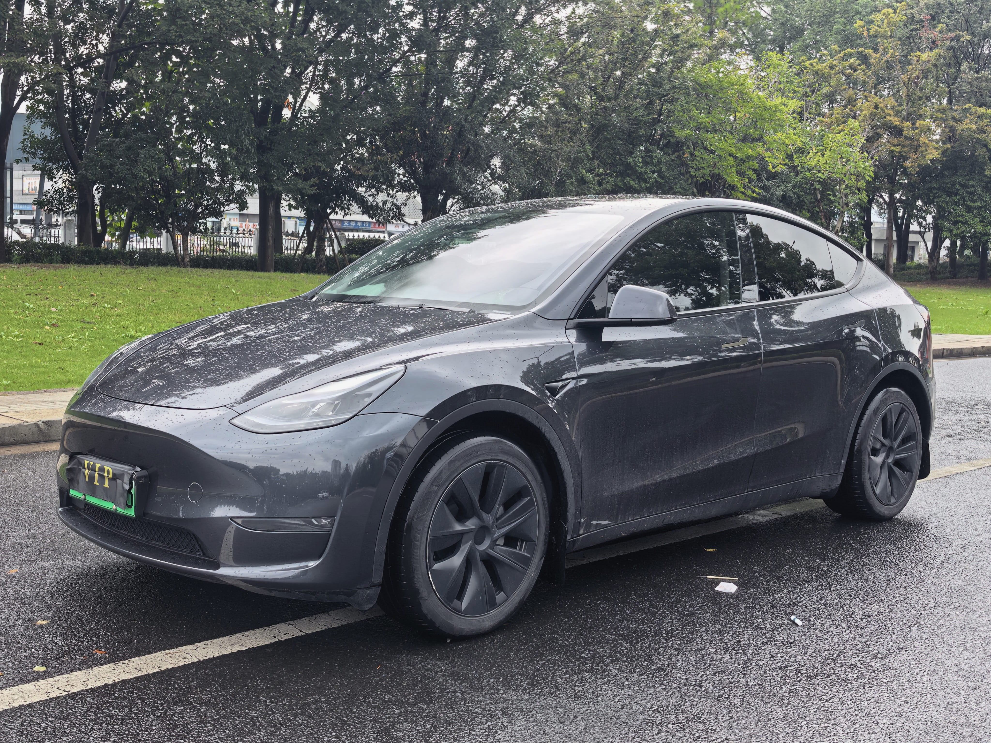 Tesla Model Y 2024 car image 