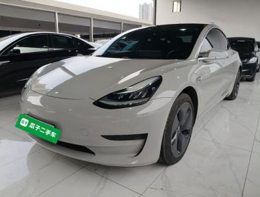 Tesla Model 3 2020 Tesla Model 3 2020 صورة سيارة