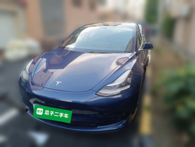 Tesla Model 3 2020 Tesla Model 3 2020 car image