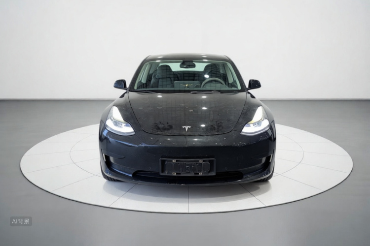 Tesla Model 3 2021 #3 Tesla Model 3 2021 car image #3